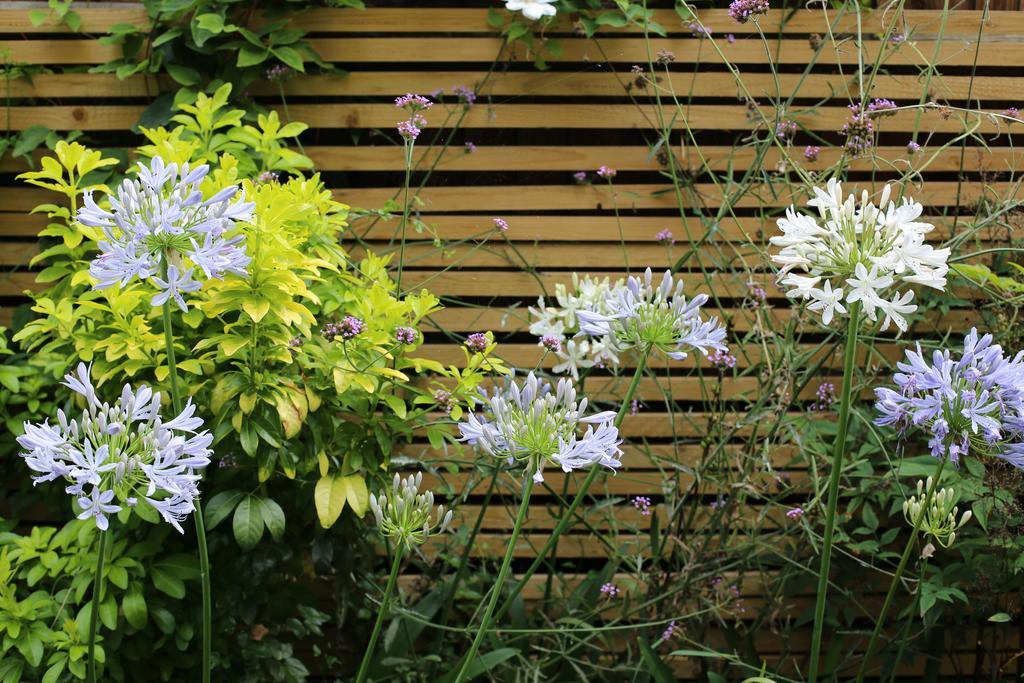 Shoreditch 1 With Garden Лондон Стая снимка